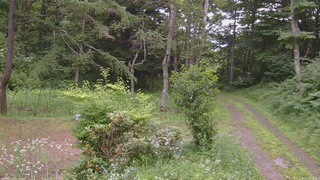 長野県菅平高原 ゆたか山荘 坂上 2026/07/20 17:45
