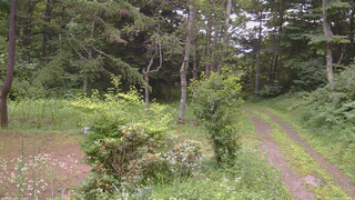 長野県菅平高原 ゆたか山荘 坂上 2026/07/20 18:00