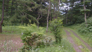 長野県菅平高原 ゆたか山荘 坂上 2026/07/20 18:15