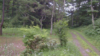 長野県菅平高原 ゆたか山荘 坂上 2026/07/20 18:30