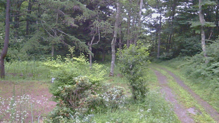 長野県菅平高原 ゆたか山荘 坂上 2026/07/20 18:45