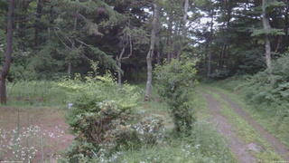 長野県菅平高原 ゆたか山荘 坂上 2026/07/20 19:00