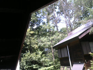 長野県菅平高原 ゆたか山荘 北側 2026/07/21 12:45