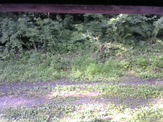 長野県菅平高原 ゆたか山荘 東側(坂下) 2026/07/21 07:00