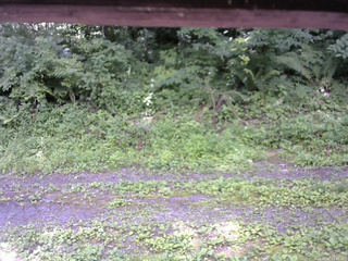 長野県菅平高原 ゆたか山荘 東側(坂下) 2026/07/21 11:45