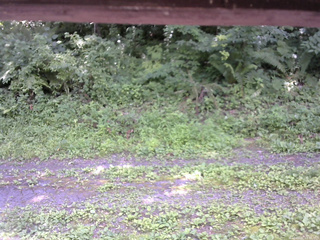 長野県菅平高原 ゆたか山荘 東側(坂下) 2026/07/21 12:30