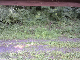 長野県菅平高原 ゆたか山荘 東側(坂下) 2026/07/21 12:45