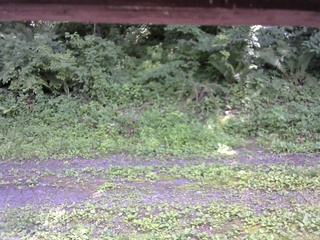 長野県菅平高原 ゆたか山荘 東側(坂下) 2026/07/21 13:30