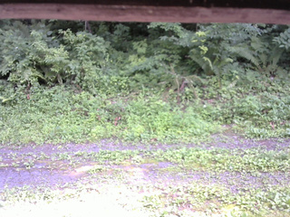 長野県菅平高原 ゆたか山荘 東側(坂下) 2026/07/21 15:00