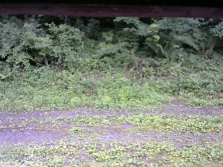 長野県菅平高原 ゆたか山荘 東側(坂下) 2026/07/21 15:15