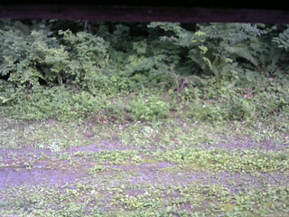長野県菅平高原 ゆたか山荘 東側(坂下) 2026/07/21 17:30