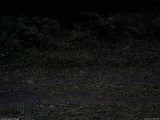 長野県菅平高原 ゆたか山荘 東側(坂下) 2026/07/21 19:15