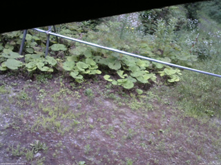 長野県菅平高原 ゆたか山荘 駐車場 2026/07/21 05:15