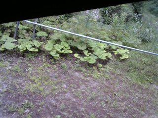 長野県菅平高原 ゆたか山荘 駐車場 2026/07/21 05:45