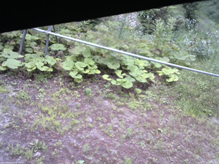 長野県菅平高原 ゆたか山荘 駐車場 2026/07/21 06:15