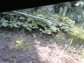 長野県菅平高原 ゆたか山荘 駐車場 2026/07/21 07:00
