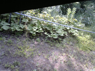 長野県菅平高原 ゆたか山荘 駐車場 2026/07/21 07:30