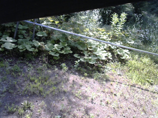 長野県菅平高原 ゆたか山荘 駐車場 2026/07/21 08:00