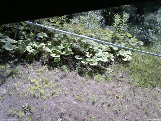長野県菅平高原 ゆたか山荘 駐車場 2026/07/21 08:45