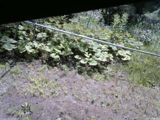長野県菅平高原 ゆたか山荘 駐車場 2026/07/21 09:00