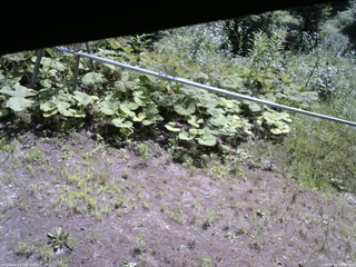 長野県菅平高原 ゆたか山荘 駐車場 2026/07/21 09:45