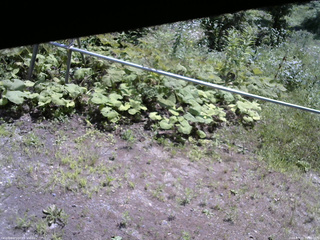 長野県菅平高原 ゆたか山荘 駐車場 2026/07/21 10:30