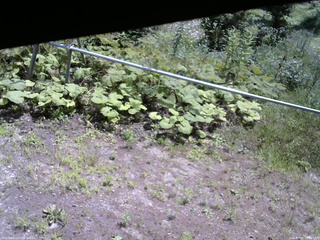 長野県菅平高原 ゆたか山荘 駐車場 2026/07/21 10:45
