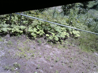 長野県菅平高原 ゆたか山荘 駐車場 2026/07/21 11:00