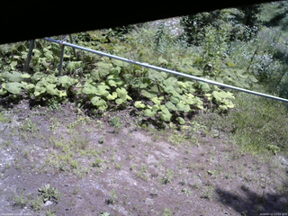 長野県菅平高原 ゆたか山荘 駐車場 2026/07/21 11:15
