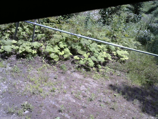 長野県菅平高原 ゆたか山荘 駐車場 2026/07/21 11:30
