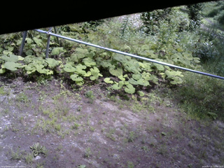 長野県菅平高原 ゆたか山荘 駐車場 2026/07/21 12:00