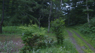長野県菅平高原 ゆたか山荘 坂上 2026/07/21 05:00