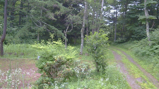 長野県菅平高原 ゆたか山荘 坂上 2026/07/21 05:15