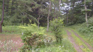 長野県菅平高原 ゆたか山荘 坂上 2026/07/21 05:30