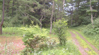 長野県菅平高原 ゆたか山荘 坂上 2026/07/21 05:45