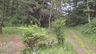 長野県菅平高原 ゆたか山荘 坂上 2026/07/21 06:00
