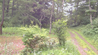 長野県菅平高原 ゆたか山荘 坂上 2026/07/21 06:15