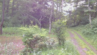 長野県菅平高原 ゆたか山荘 坂上 2026/07/21 06:30