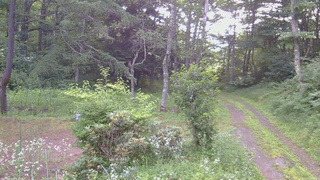 長野県菅平高原 ゆたか山荘 坂上 2026/07/21 06:45