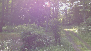 長野県菅平高原 ゆたか山荘 坂上 2026/07/21 07:15