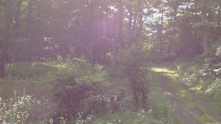 長野県菅平高原 ゆたか山荘 坂上 2026/07/21 07:30