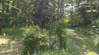 長野県菅平高原 ゆたか山荘 坂上 2026/07/21 08:15