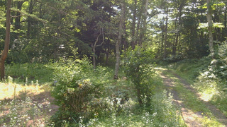 長野県菅平高原 ゆたか山荘 坂上 2026/07/21 08:30