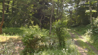 長野県菅平高原 ゆたか山荘 坂上 2026/07/21 08:45