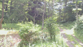 長野県菅平高原 ゆたか山荘 坂上 2026/07/21 09:00