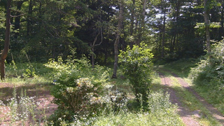 長野県菅平高原 ゆたか山荘 坂上 2026/07/21 09:30