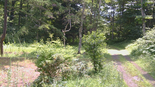 長野県菅平高原 ゆたか山荘 坂上 2026/07/21 10:45