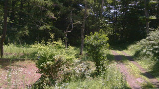 長野県菅平高原 ゆたか山荘 坂上 2026/07/21 11:00