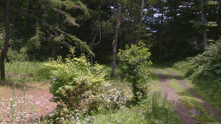 長野県菅平高原 ゆたか山荘 坂上 2026/07/21 11:45