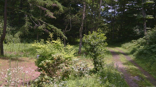長野県菅平高原 ゆたか山荘 坂上 2026/07/21 12:00